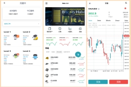 多语言虚拟币黄金白银铂金DAPP交易所系统微盘系统微交易系统